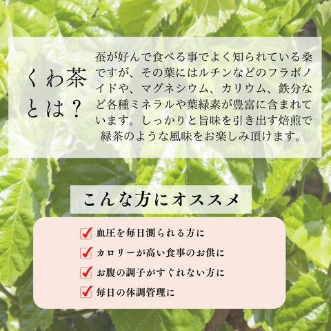 国産くわ茶