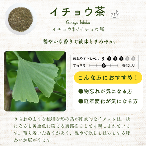国産イチョウ茶