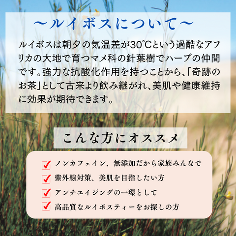 オーガニックルイボスティー