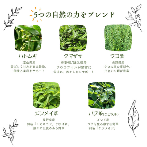 えんめい茶(10ティーバッグ)