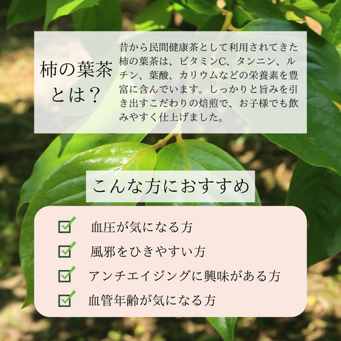 国産かきの葉茶