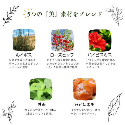 ローズヒップとうるおいルイボスティー