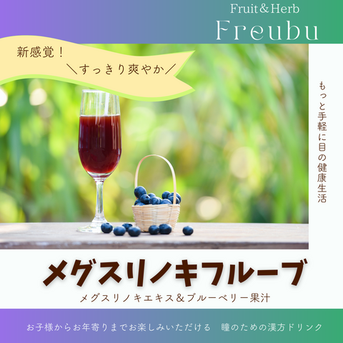 メグスリノキフルーブ 4本入
