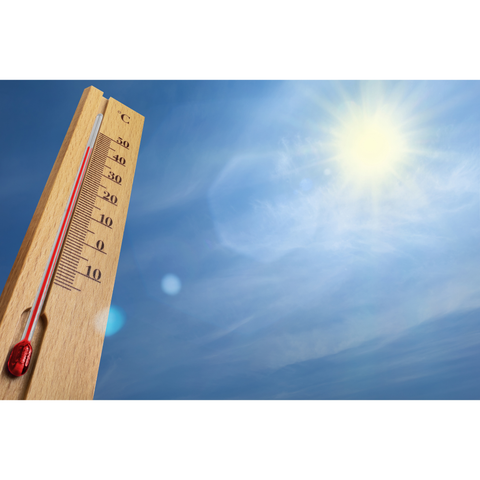 今年の夏は暑いのか？