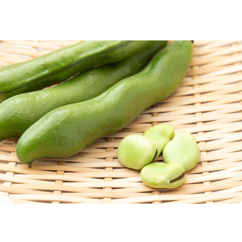 刀豆ってどんな植物？毒性はあるの？