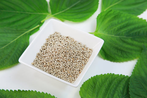 えごまの実とは？驚異的な健康効果とおすすめの食べ方をご紹介