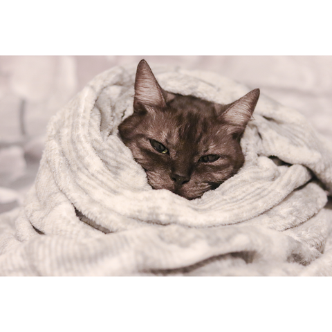 冷えを撃退！　温活で冷えない体づくり