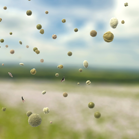 近・現代の季節性疾患について